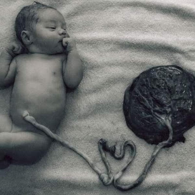 Myths Behind Burying Placenta In Africa